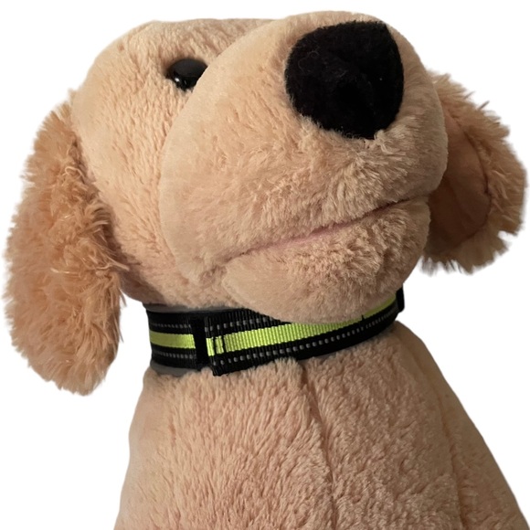 NEW - Padded Dog Collar M Reflective Trim Black Volt - Picture 12 of 12